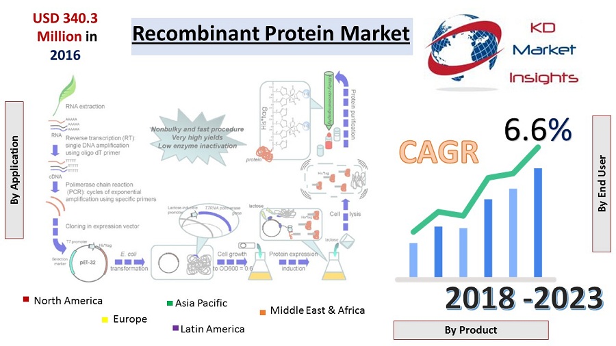 Recombinant Protein Market