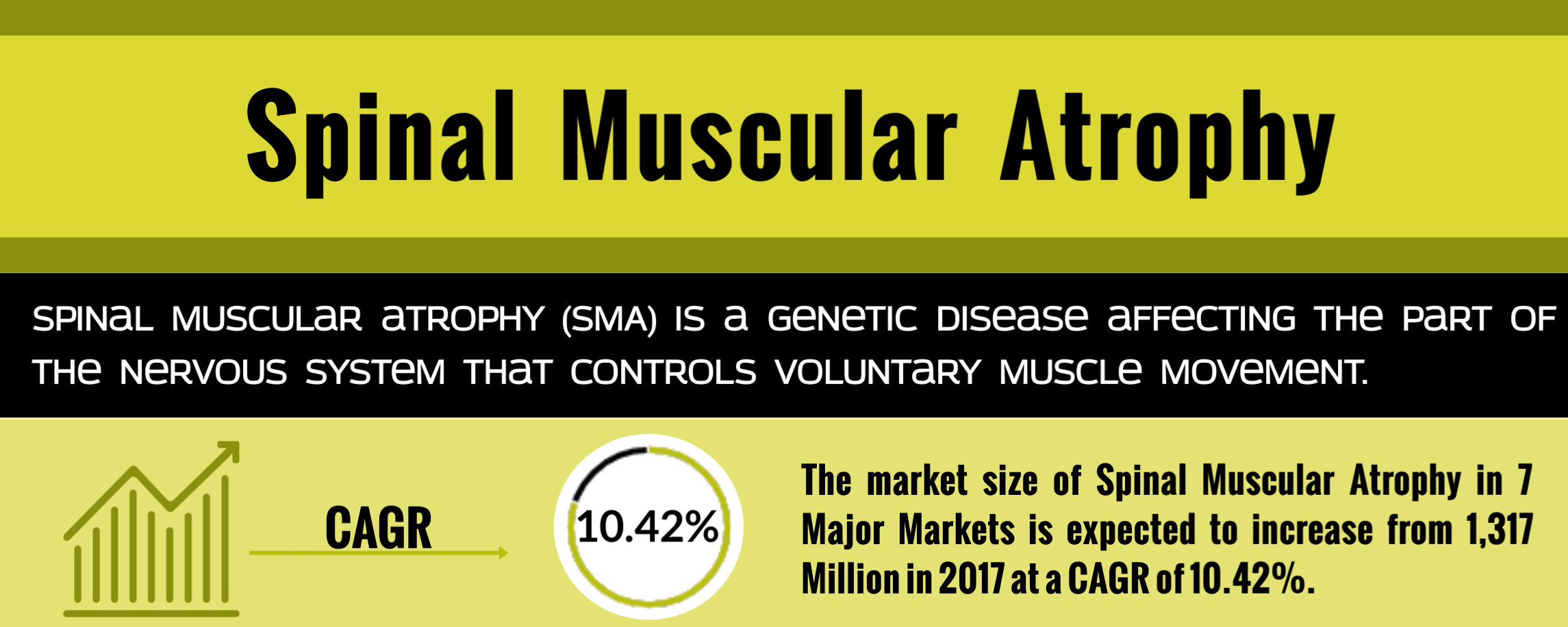 Spinal Muscular Atrophy
