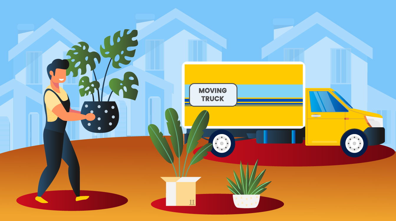 How to pack your plants