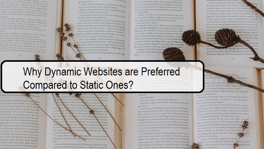Why Dynamic Websites are Preferred Compared to Static Ones?