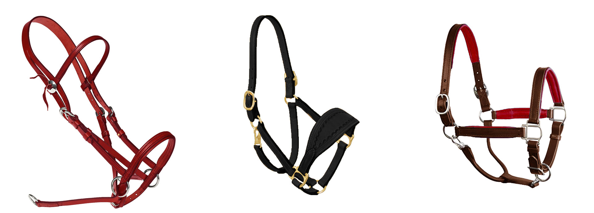 Leather Halter With Nameplate