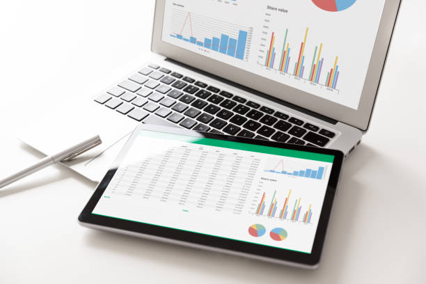 Crop Your Website with Digital Audit App Services