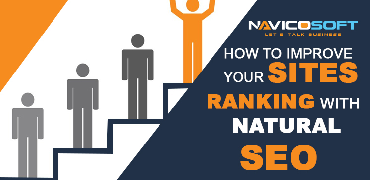 SEO Service