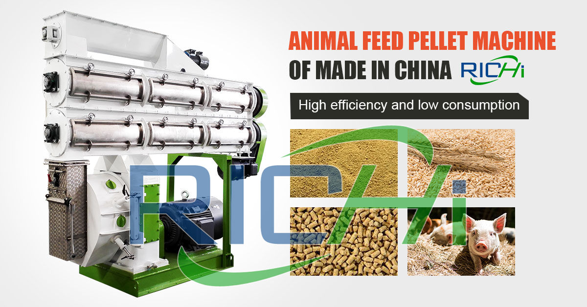 poultry pig chicken animal feed processing pellet machine