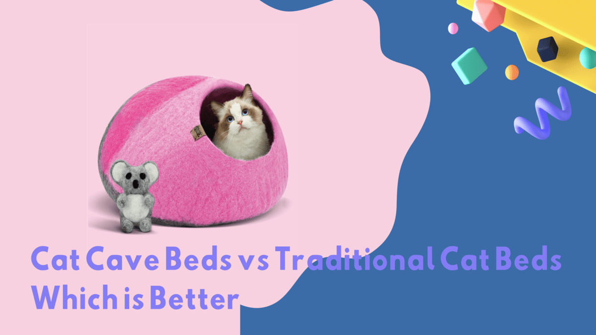 Cat Cave Beds vs Traditional Cat Beds Which is Better