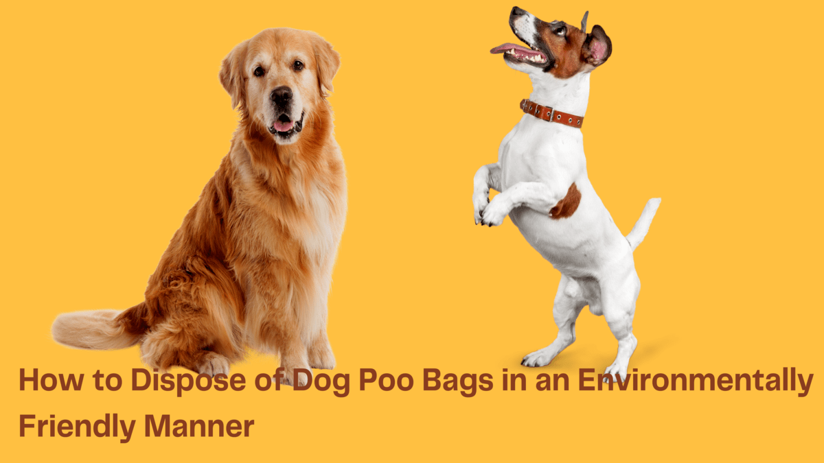 How to Dispose of Dog Poo Bags in an Environmentally Friendly Manner
