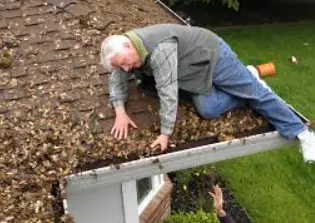 gutter cleanout Gainesville FL
