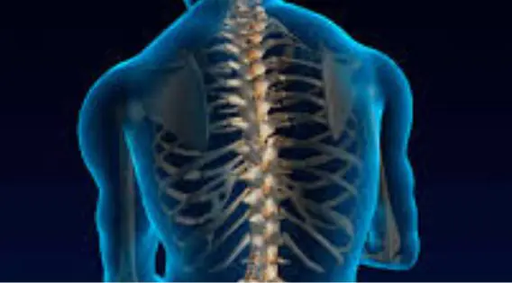 Leading Neurosurgeon in Kolkata with Global Recognition