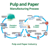 Industrial Papermaking Market Players | Stakeholder| Terms of Revenue| COVID-19 Impact | Forecast (2022-2032)