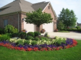The Top 10 Shrubs to Add to Your Garden