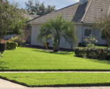 Why Using Lawn Care Orlando Is Important