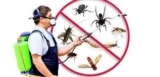 Bright Pest Control Delivers Actual Results