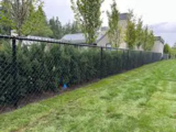 The Benefits of Chain Link Fencing for Pet Owners