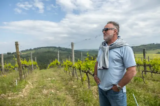 How to Pick the Best Tuscany Package Tours for an Authentic Italian Escape
