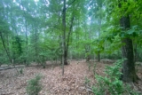 Is It Time to Buy a Home with Land Near Charlotte, NC? Discover the Benefits and Expert Tips!