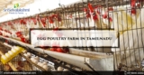 Egg Wholesale Price in Namakkal | Egg Wholesalers Namakkal