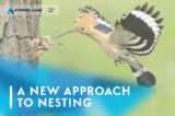 A New Approach To Nesting In Family Law