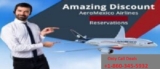 Does Aeromexico allow dogs on the flight?