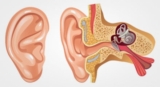 Benign Positional Vertigo Market Analysis, Growth Factors by Sales-Demand 2018-2023