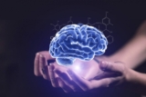 Brain Implants Market Global Insights and Business Attractiveness Overview