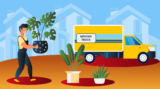 How to pack your plants before the household shifting?