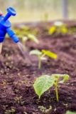 Calcium Nitrate Market 2019- Global Industry Details by Overview, Size, Top Manufacturers, Trends, Demand, Overview, Forecast to 2025