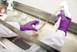 Conjugate vaccines Market Analysis by Products, Applications, Manufacturing Details and Scope