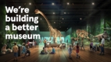 Culture & Museums – Fayway