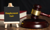 What Is Employment Law & What Are Its Benefits?