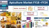 Apiculture Market Expected to Reach CAGR of 2.8 % by 2024