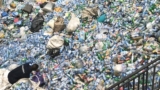 Global Plastic Recycling Market-Global Potential Growth, Demand by Regions, Types and Analysis of Key Players;Research Forecasts to 2026.
