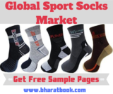 Sport Socks Market: Global Size study, by Type and Regional Forecasts till 2024