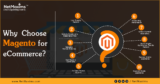 Why Choose Magento for Ecommerce?