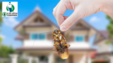 Difference between Exterminator and Pest Control