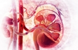 Renal Denervation Market Briefing on Key Developments Trends, Analysis and Forecasts Till 2023