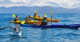 Sea Kayaking – Thе Beauty And Thе Adventure