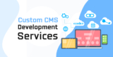 Top Custom CMS Development Services