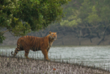 20 Best Tourist Attractions to Visit in Bangladesh