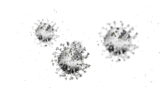 Viruses live on phones and can get you sick – smart cleaning and good habits can help protect you