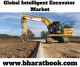 Global Intelligent Excavator Market Size study, by Type and Regional Forecasts 2019-2024