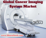 Cancer Imaging System Market: Global Size study, by Type and Regional Forecasts till 2024