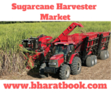 Sugarcane Harvester Market Insight 2019-2024