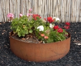 Best Ways To Use Raised Garden Beds