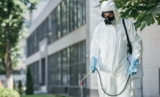 Nifty Pest Control Will Help You Get Rid of Pests
