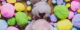 Top 5 Needle Felting Techniques for Beginners