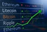 5 Best Alternatives of Bitcoin Cryptocurrency in 2022