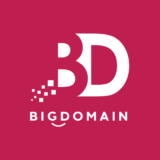 Big Domain Sdn Bhd Will Help You Promote Your Domain