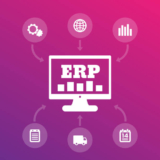 What kind of Expertise do you need to implement an ERP?