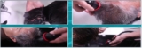 World-first Aqua Head Spa Acupuncture Device|KYMO