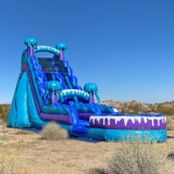 LY Jumping LLC Will Help You Find the Right Bounce House Rentals